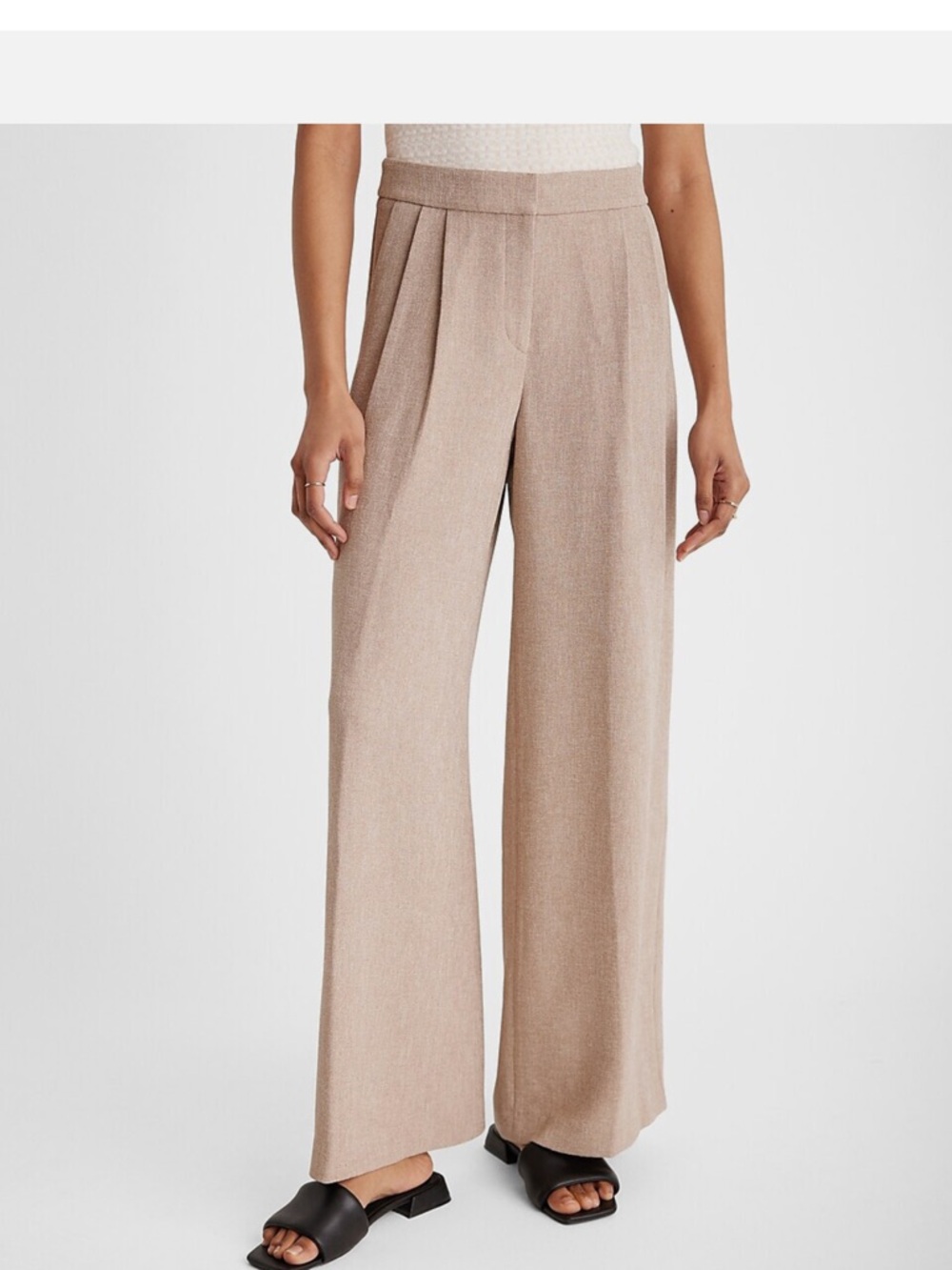 Express Stylist High Waisted Textured Wide-Leg Pleated Pants in Beige Pant